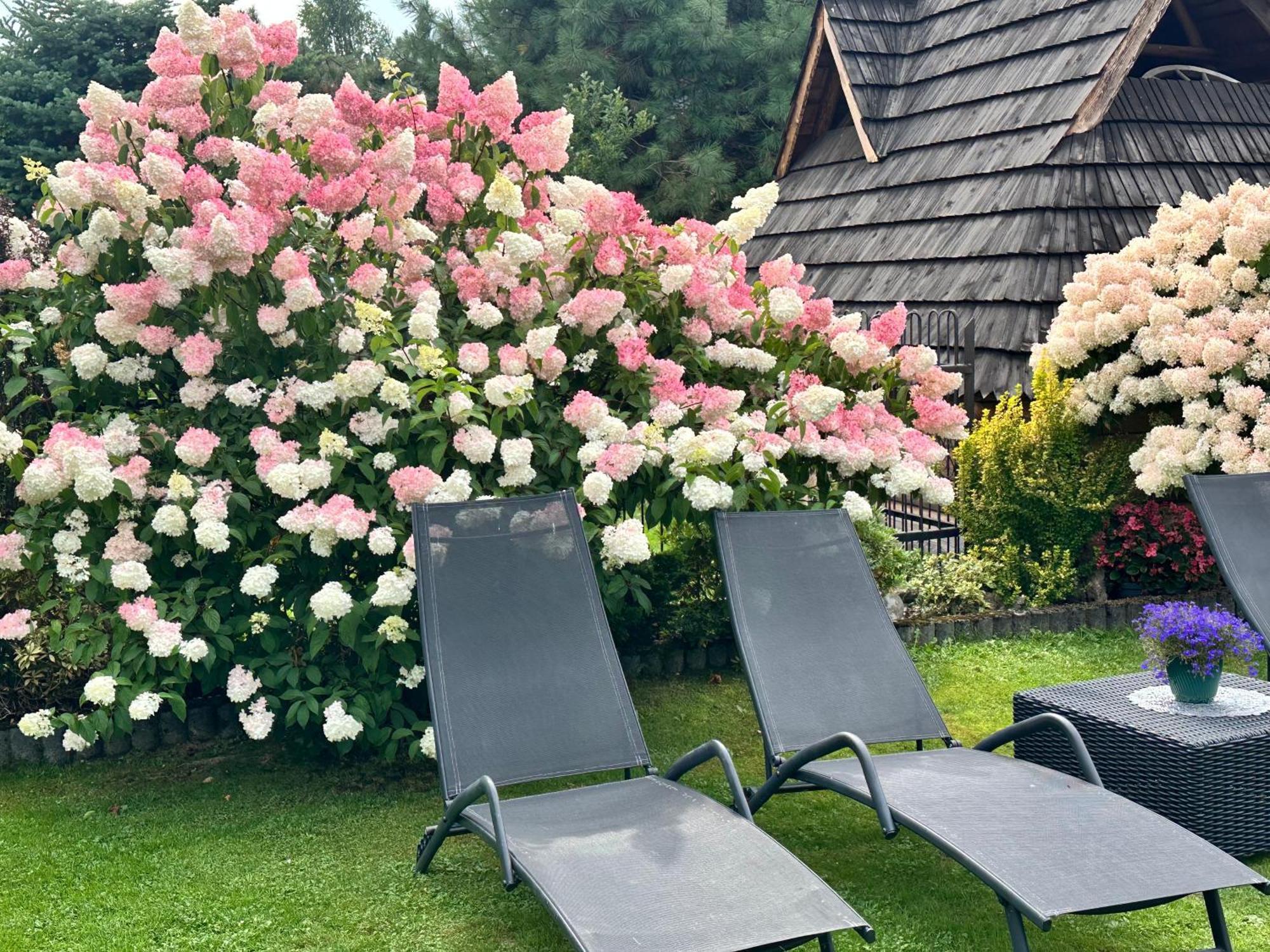 Dw Basia Pokoje I Apartament Bialka Tatrzanska Bagian luar foto